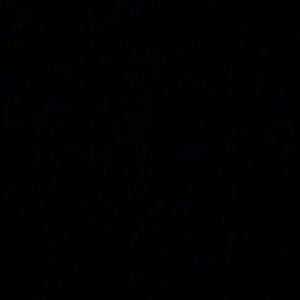 Meet your Posher, Esther